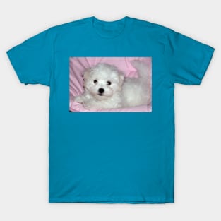 photo puppy pretty in pink T-Shirt